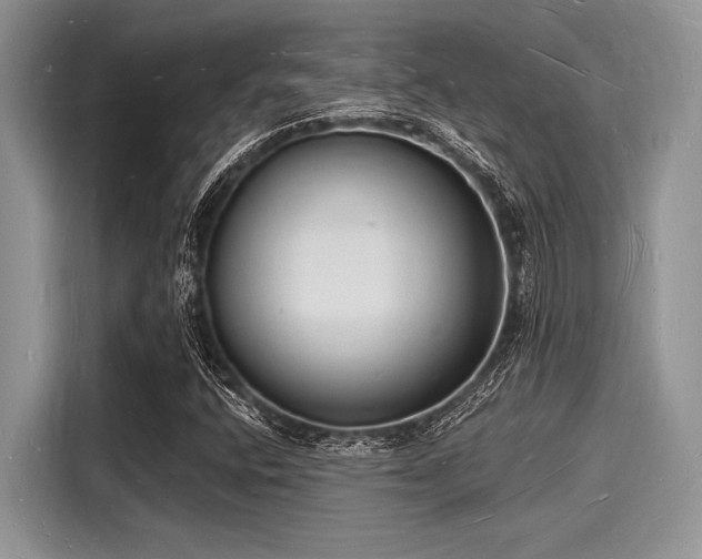 X0000116131400200911301338