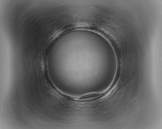 X0000116131401200911301338