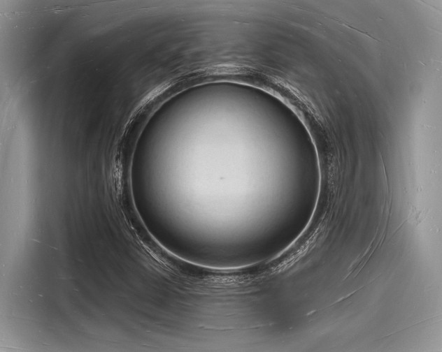 X0000116131402200911301338