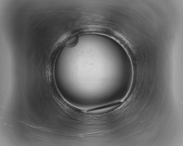 X0000116131403200911301338