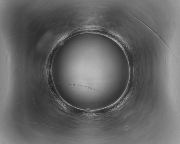 X0000116131405200911301338