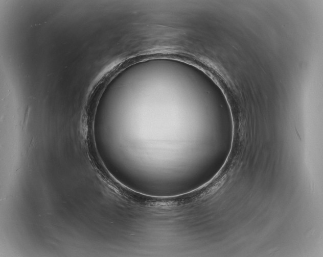 X0000116131406200911301338