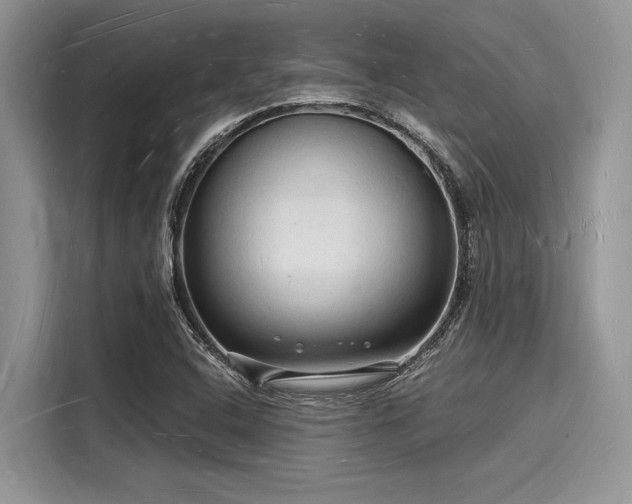 X0000116131408200911301338
