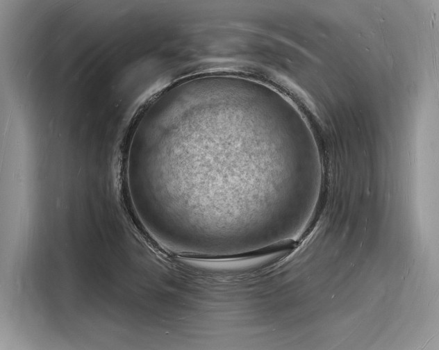 X0000116131411200911301338