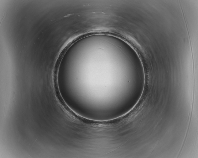X0000116131412200911301338