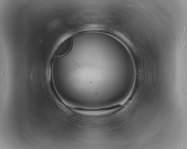 X0000116131413200911301338