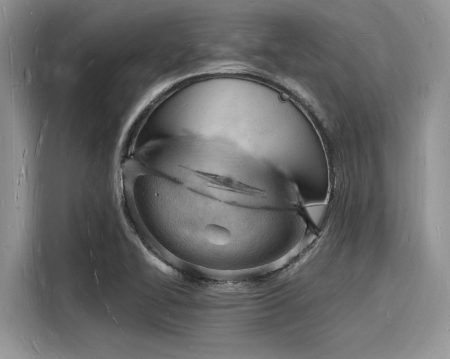 X0000116131414200911301338