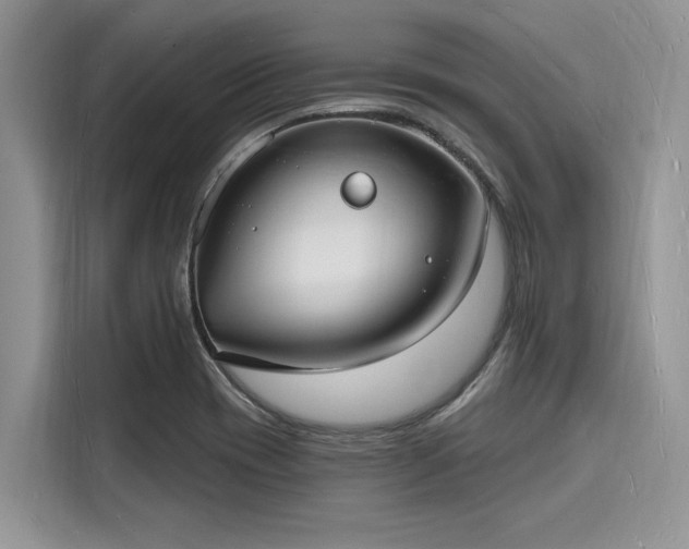 X0000116131417200911301338
