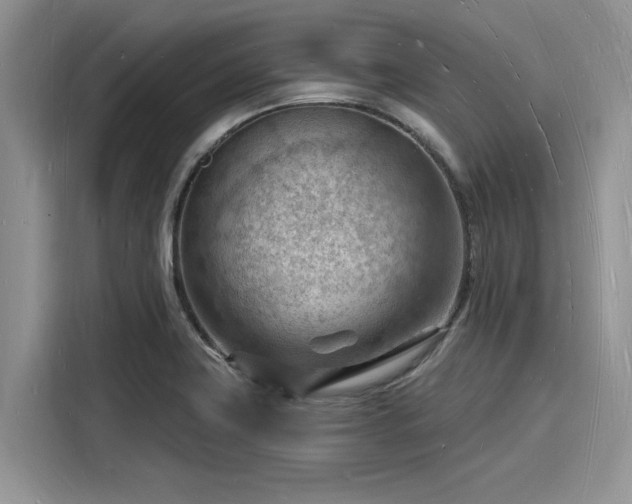 X0000116131419200911301338