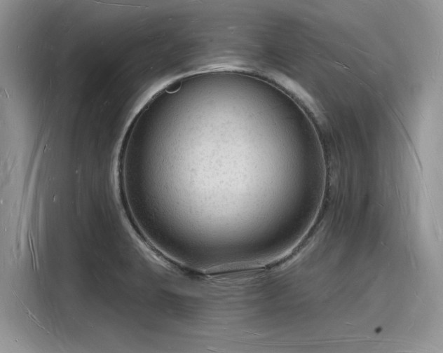 X0000116131423200911301338