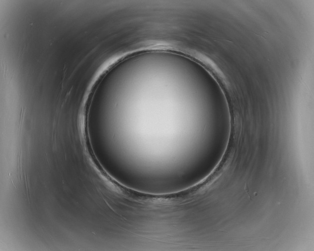 X0000116131424200911301338