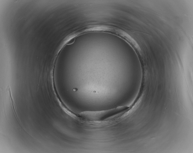 X0000116131425200911301338