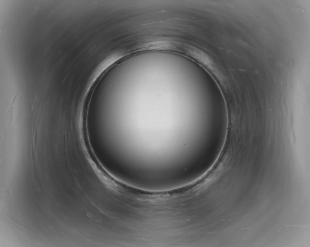 X0000116131426200911301338