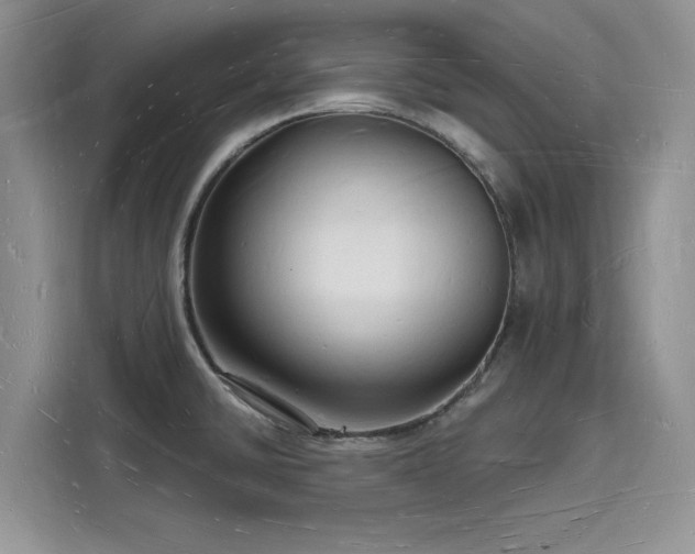 X0000116131430200911301338