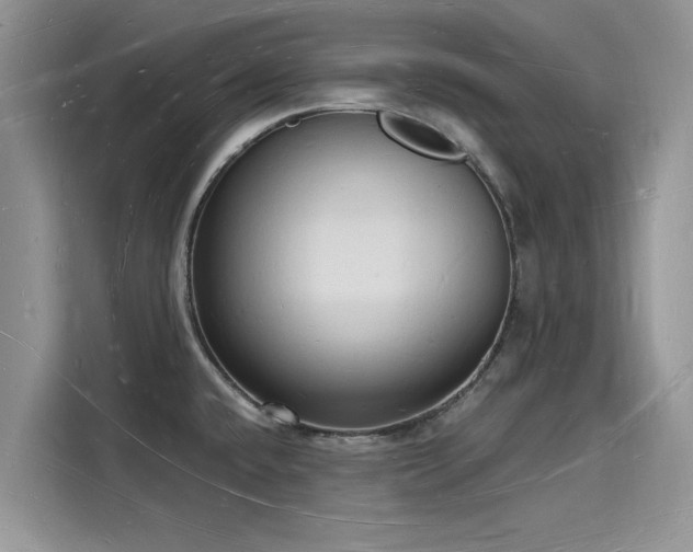 X0000116131432200911301338