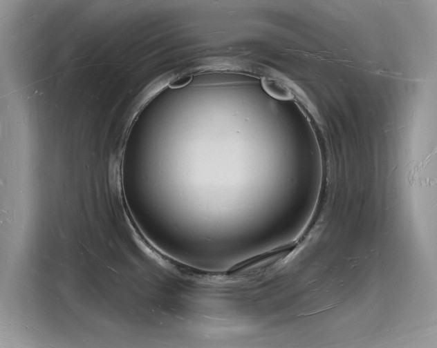 X0000116131433200911301338