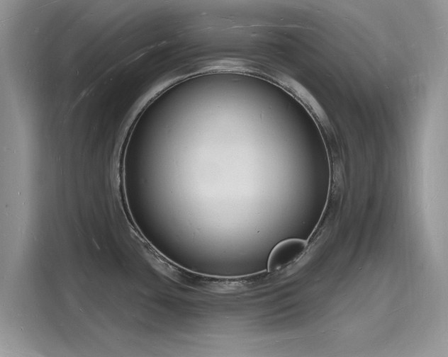 X0000116131435200911301338