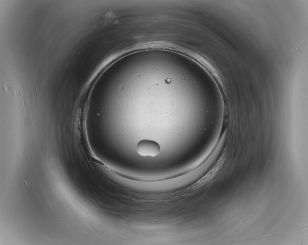 X0000116131438200911301338