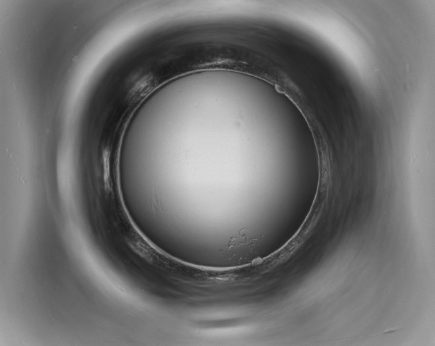 X0000116131439200911301338
