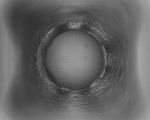 X0000116131441200911301337