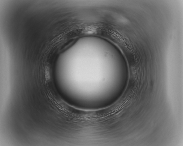 X0000116131442200911301337
