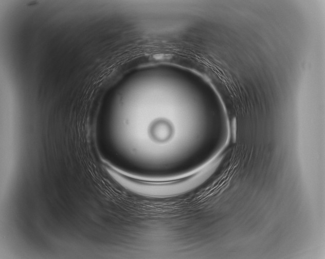 X0000116131443200911301337