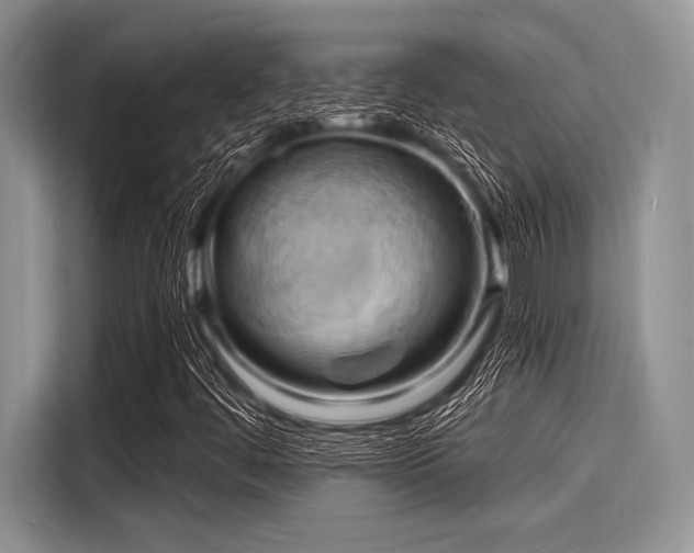 X0000116131444200911301337