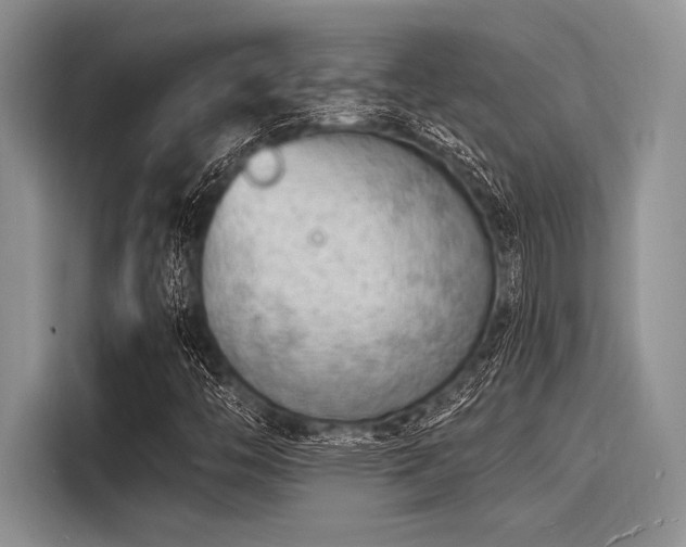 X0000116131446200911301337