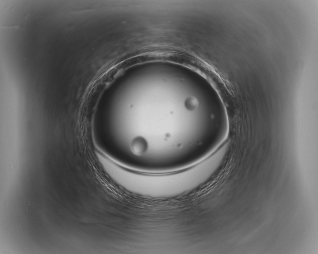 X0000116131448200911301337