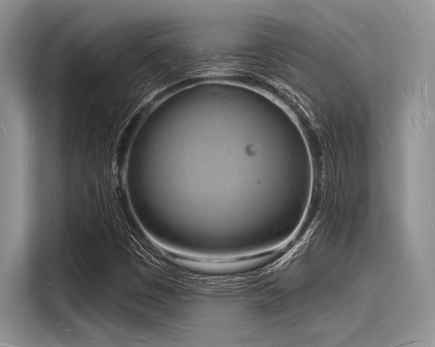 X0000116131449200911301337