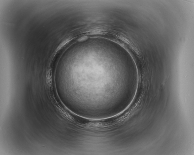 X0000116131450200911301337