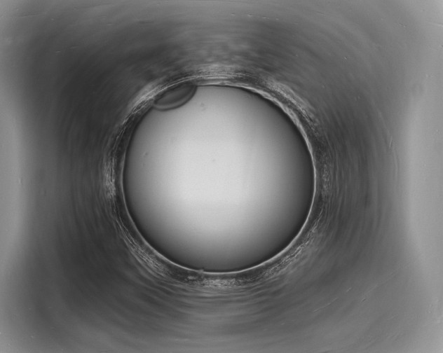 X0000116131451200911301337