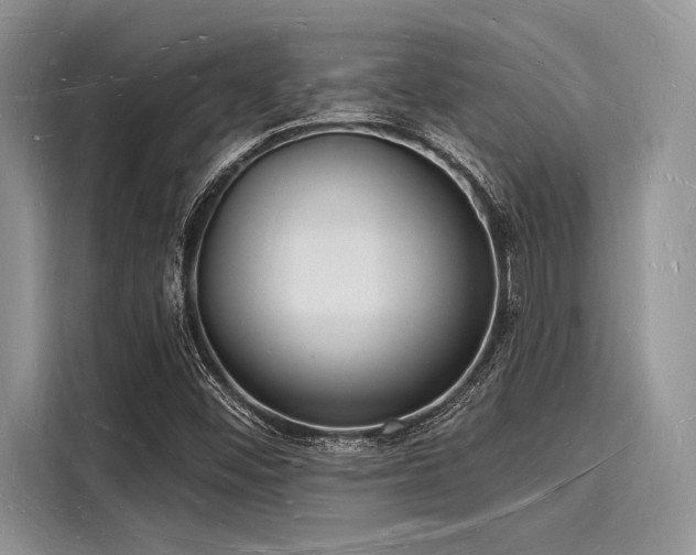 X0000116131452200911301337