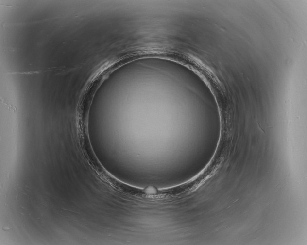 X0000116131453200911301337