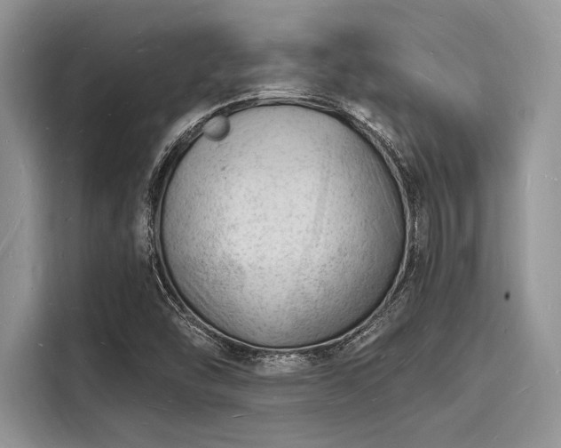 X0000116131454200911301337
