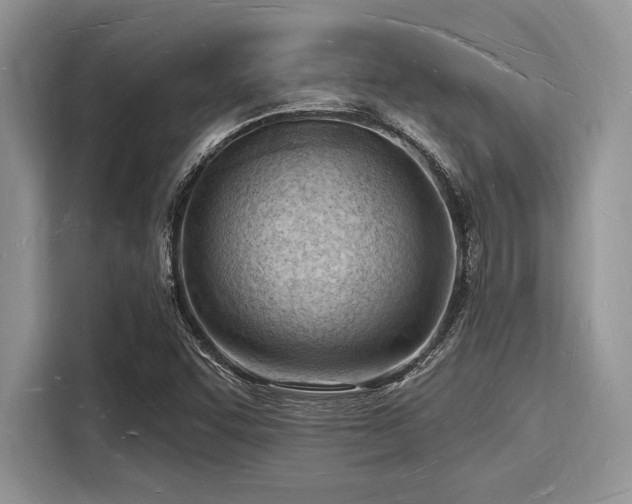 X0000116131455200911301337