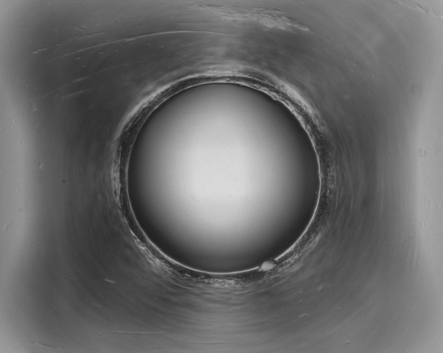 X0000116131456200911301337