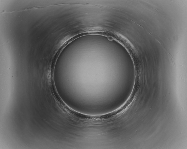 X0000116131457200911301337