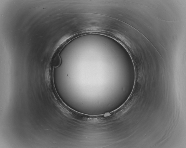 X0000116131458200911301337