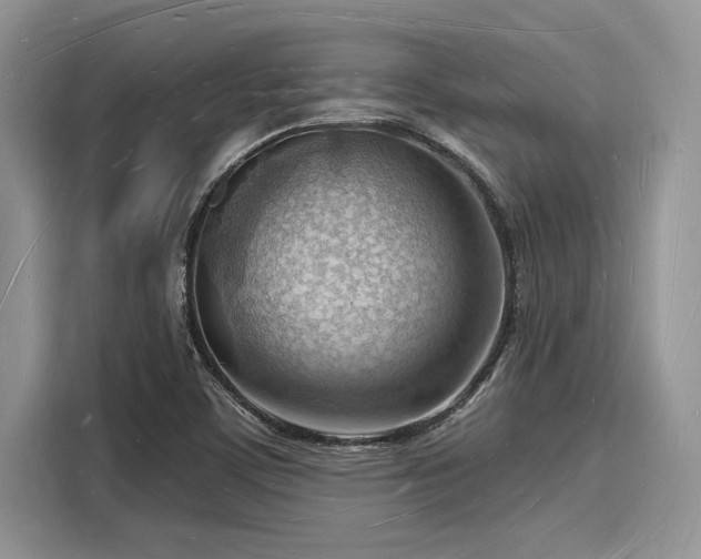 X0000116131459200911301337