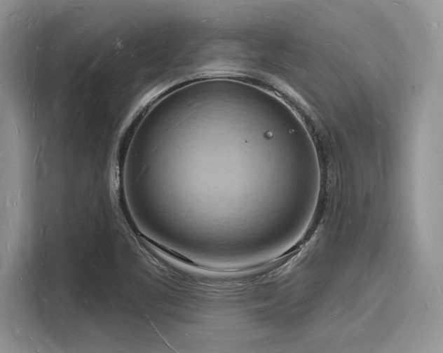 X0000116131461200911301337