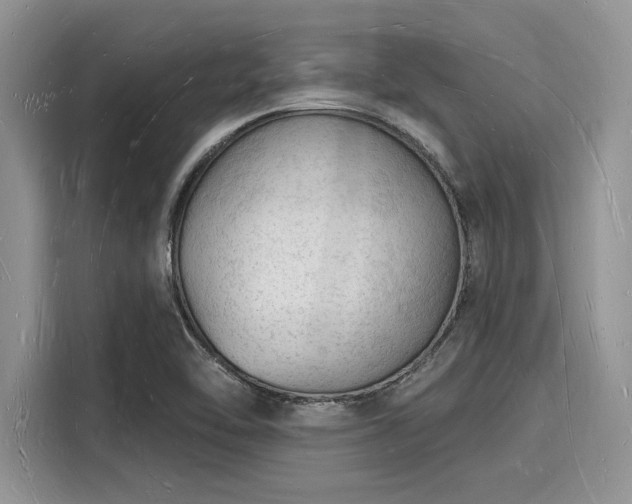 X0000116131462200911301337