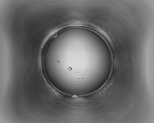 X0000116131464200911301337