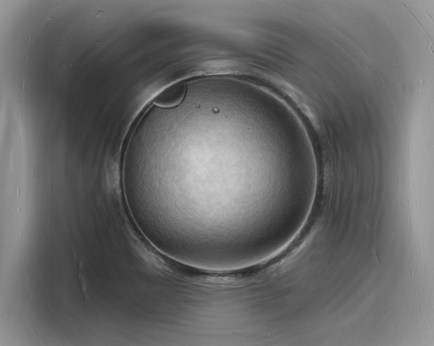 X0000116131465200911301337