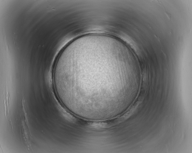 X0000116131466200911301337