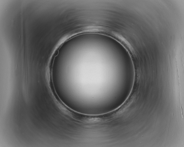 X0000116131467200911301337