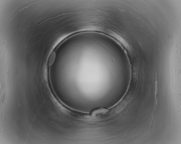 X0000116131468200911301337
