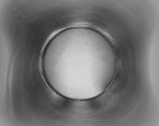 X0000116131470200911301337