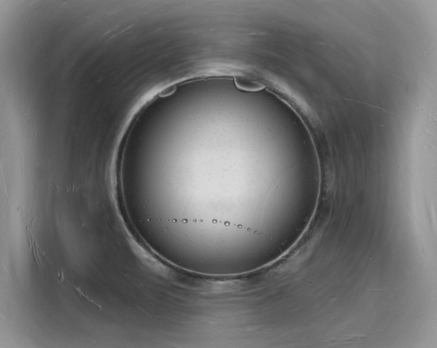 X0000116131471200911301337