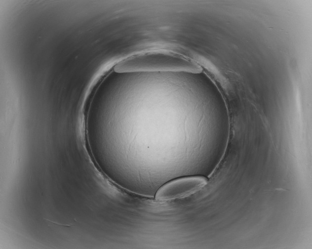 X0000116131472200911301337